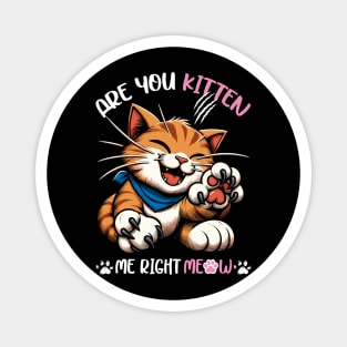 Cute Cat Claw Magnet